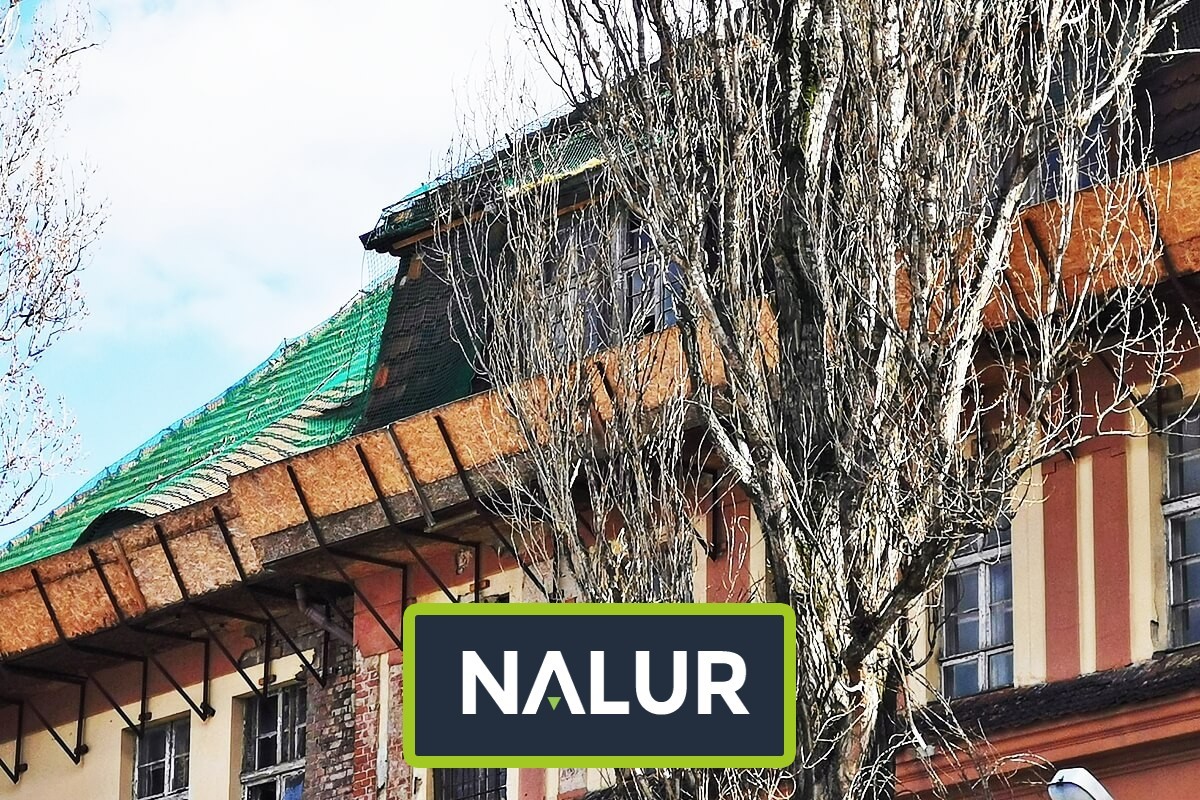 Nalur -