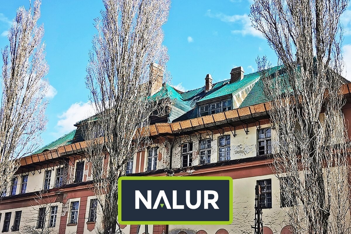 Siatka na dach Zabezpieczenie dachu siatką dekarską Nalur - Siatka na dach Zabezpieczenie dachu siatką dekarską