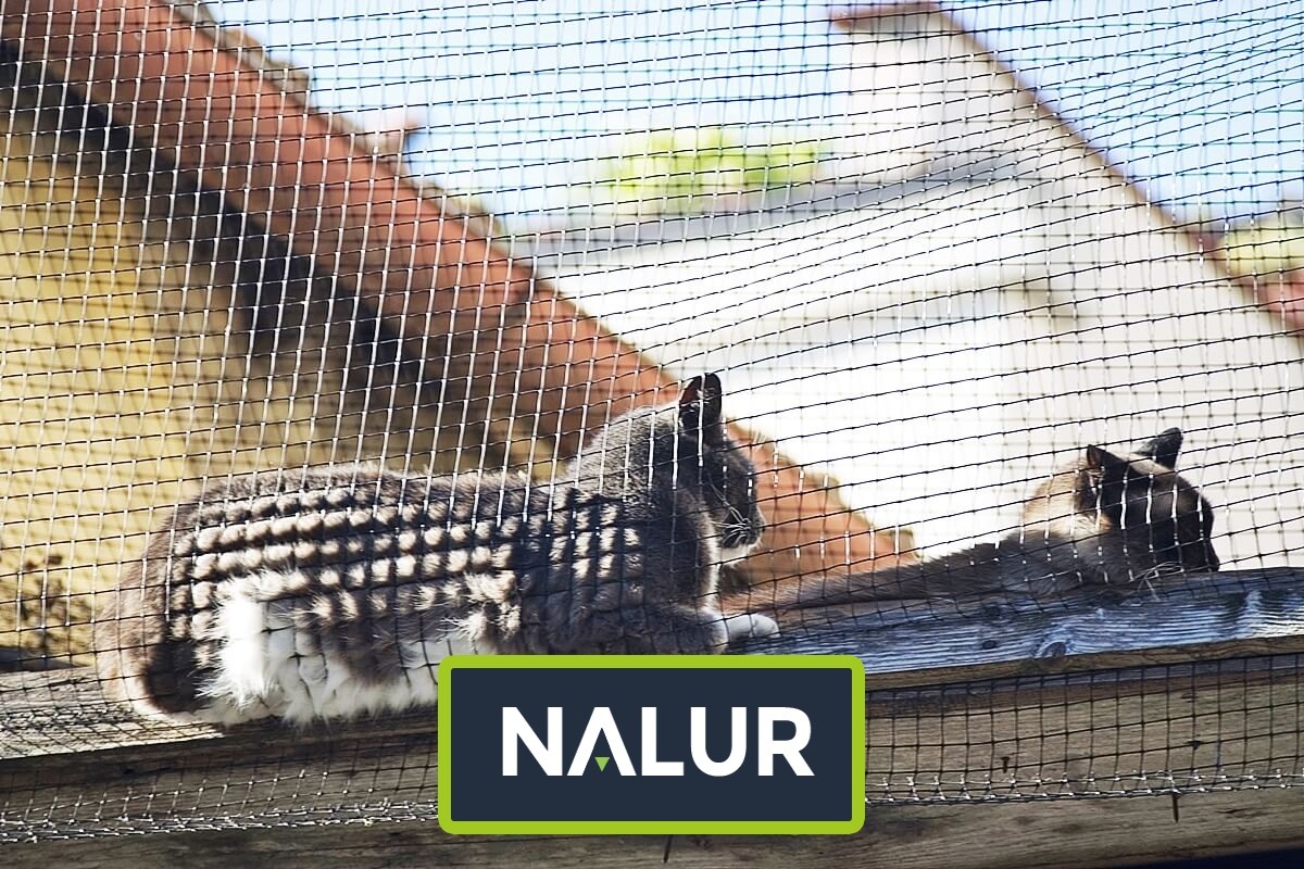 Balkony Siatka dla kota na balkon z małym oczkiem Nalur - Balkony Siatka dla kota na balkon z małym oczkiem