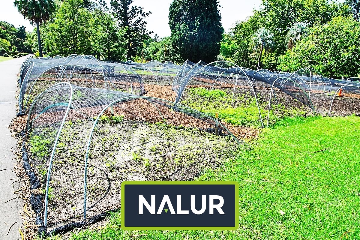   Nalur - Trwała siatka ochronna do podniesionych grządek ogrodowych 