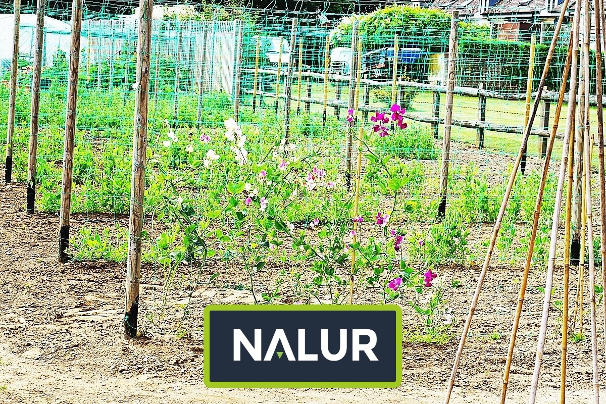   Nalur - Ochronna siatka na podniesione grządki roślin 