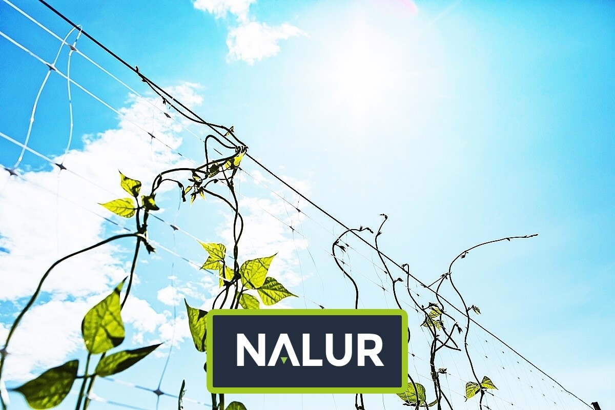   Nalur - Ochronna siatka na kwiatowe i warzywne rabaty 