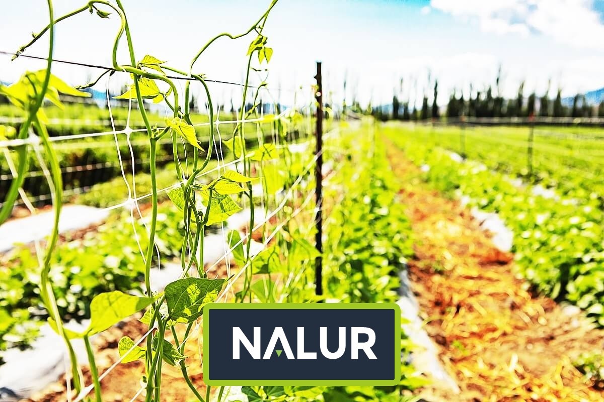   Nalur - Solidne zabezpieczenie roślin - sznurkowa siatka ogrodnicza 