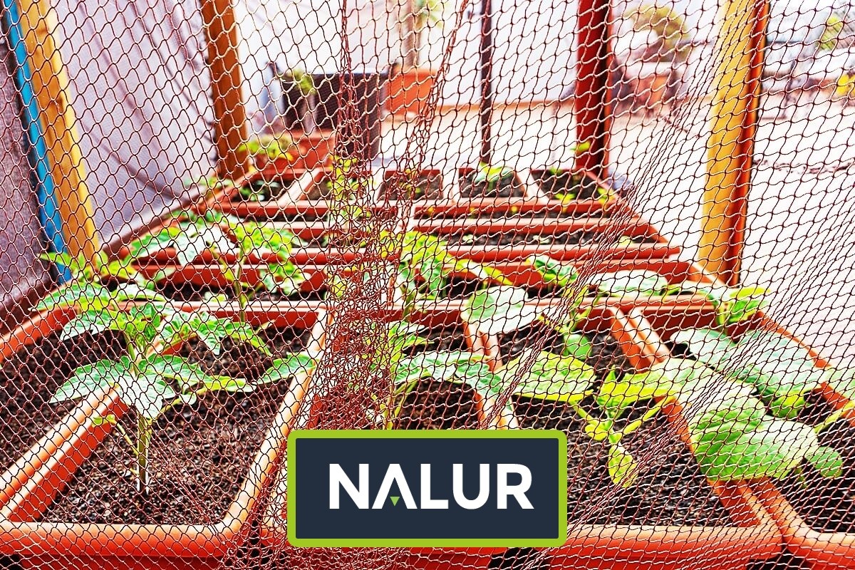   Nalur - Sznurkowa siatka na wymiar — doskonały wybór dla miłośników wysokich grządek 