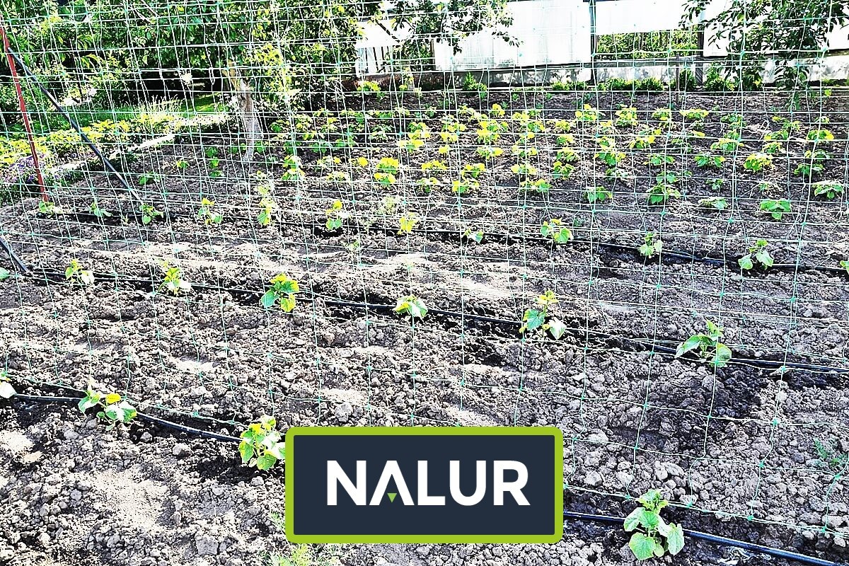 Siatka sznurkowa dla ochrony roślin Nalur - Siatka sznurkowa dla ochrony roślin