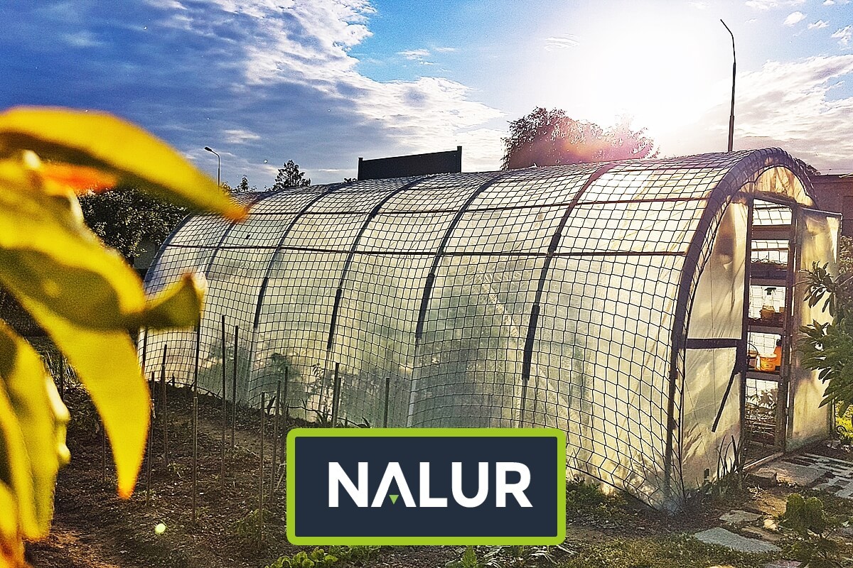  Nalur - Siatka wzmacniająca do ochrony tunelu foliowego przed wiatrem 