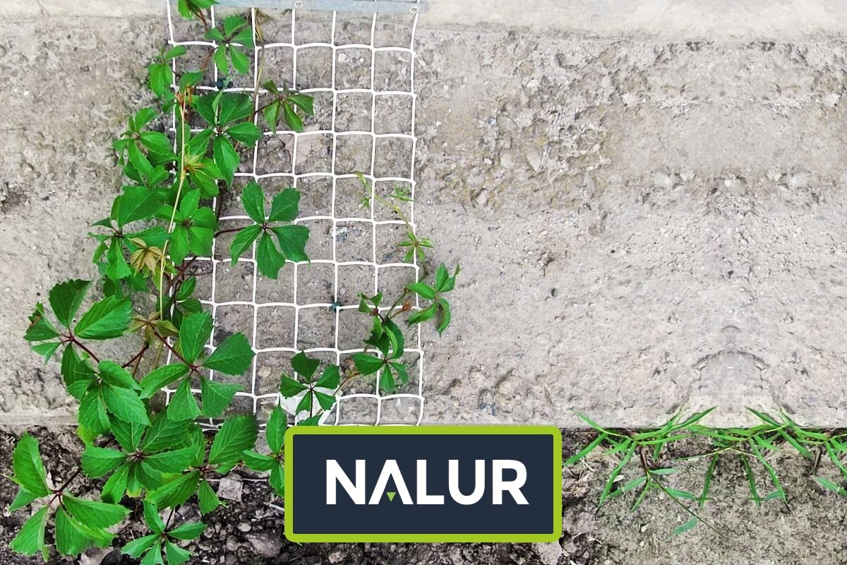   Nalur - Efektywna ochrona roślin — Siatki i sznurki do zabezpieczenia Twojej uprawy 