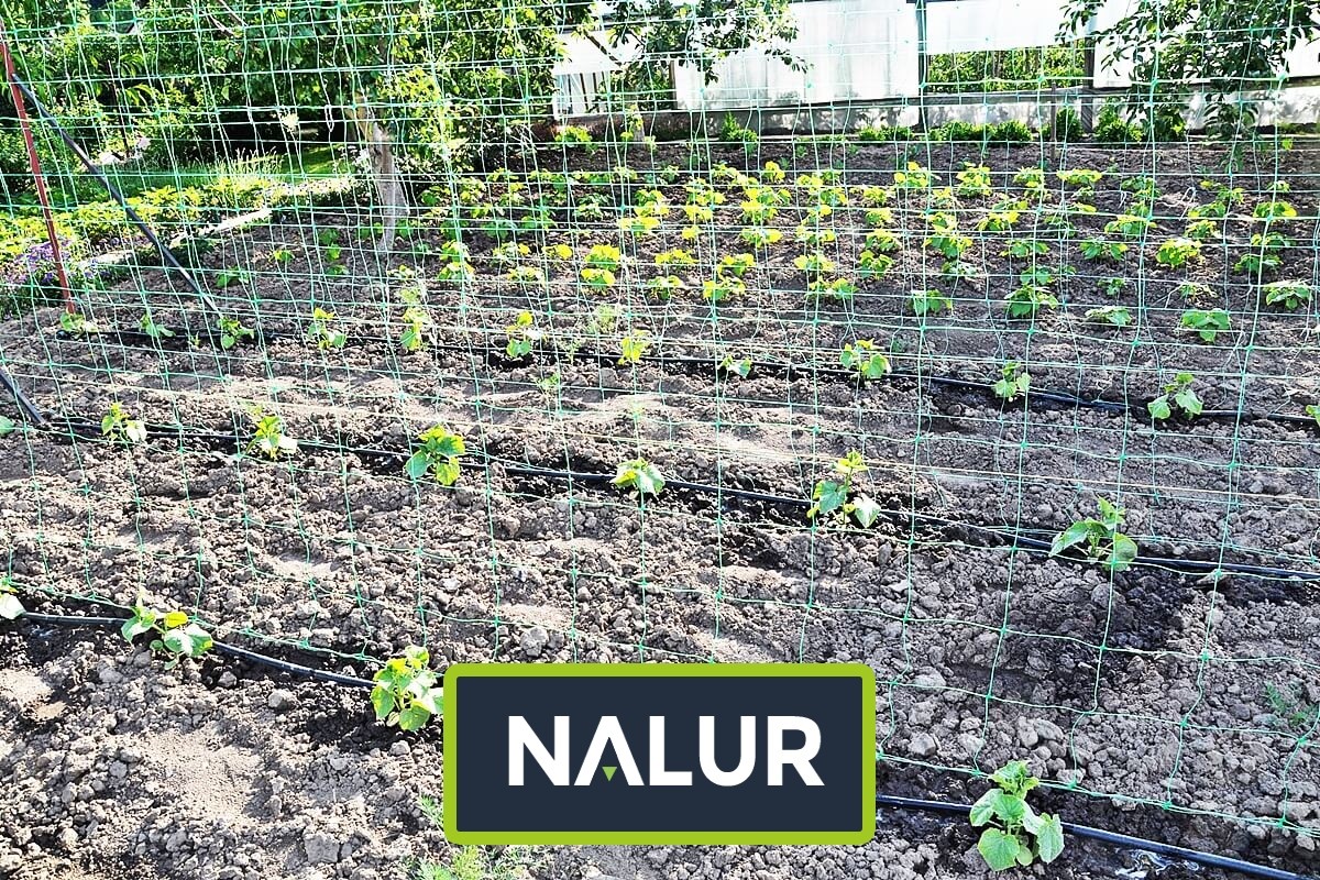   Nalur - Ogrodzenie do ogródka uprawnego   Zabezpieczenie uprawy w ogródku 