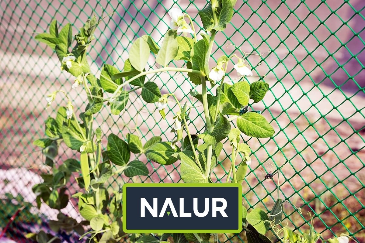   Nalur - Ochronna siatka do zabezpieczenia upraw 