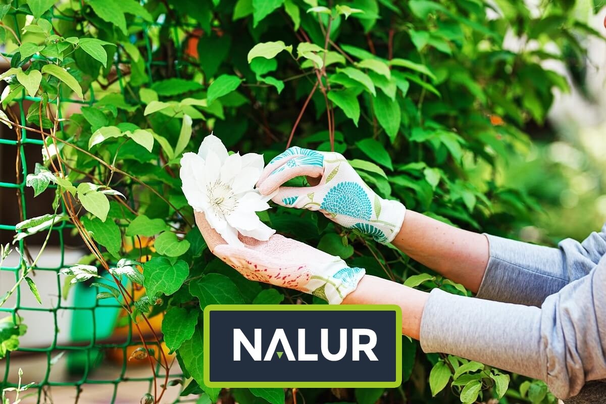   Nalur - Siatka sznurkowa zabezpieczająca uprawy 