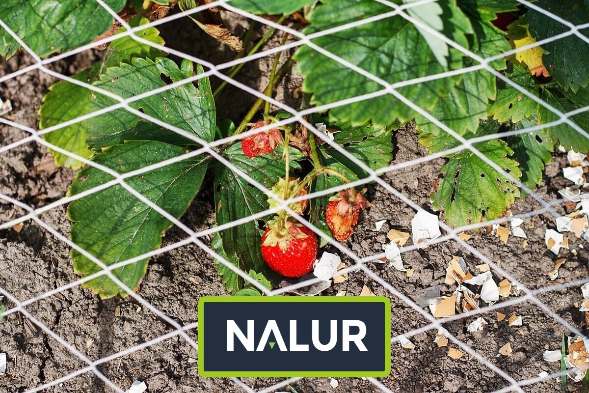   Nalur - Siatki Sznurkowe do Ochrony Roślin 
