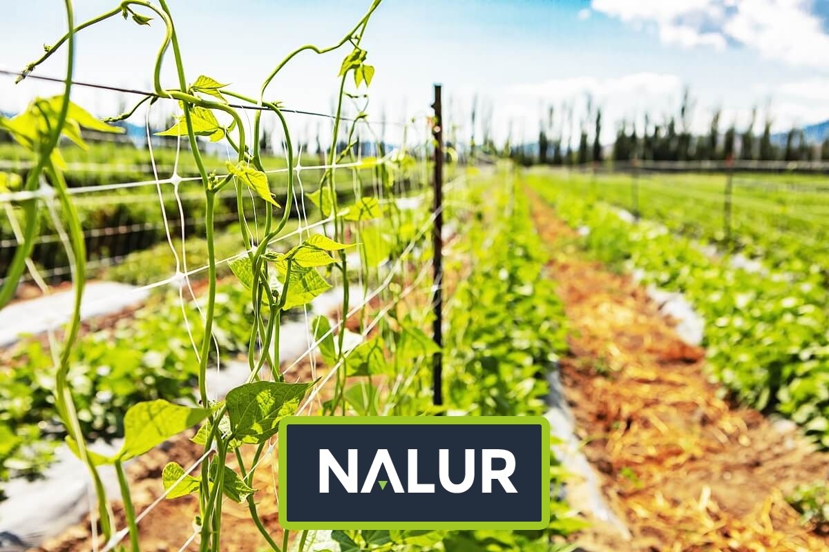 Siatka ochronna z sznurka dla roślin uprawnych Nalur - Siatka ochronna z sznurka dla roślin uprawnych
