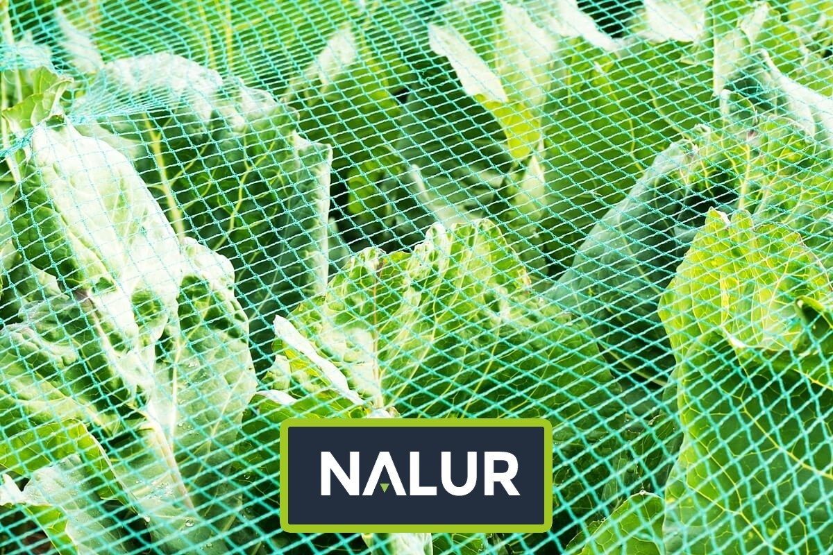   Nalur - Ogrodzenie do ogródka uprawnego   Zabezpieczenie uprawy w ogródku 