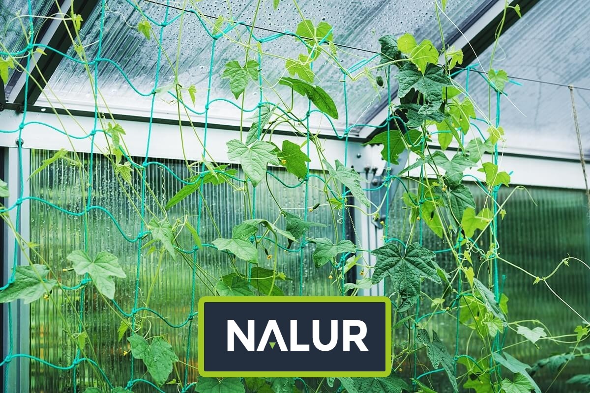   Nalur - Siatki i sznurki do ochrony roślin w uprawach ogrodowych 