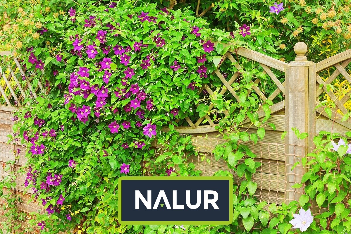   Nalur - Ogrodzenie do ogródka uprawnego   Zabezpieczenie uprawy w ogródku 