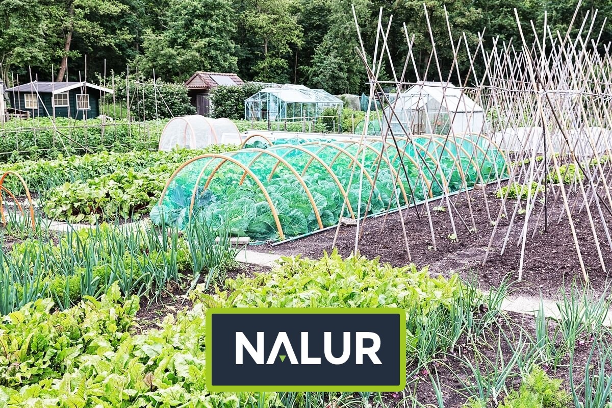   Nalur - Ochronne siatki dla upraw ogrodowych 