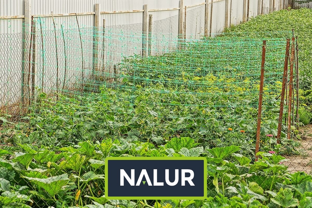   Nalur - Siatki Sznurkowe do Ochrony Roślin 