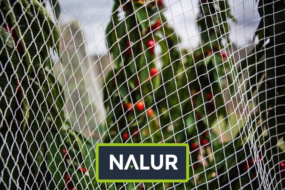   Nalur - Solidne ogrodzenie zapewniające ochronę upraw przed szkodnikami 