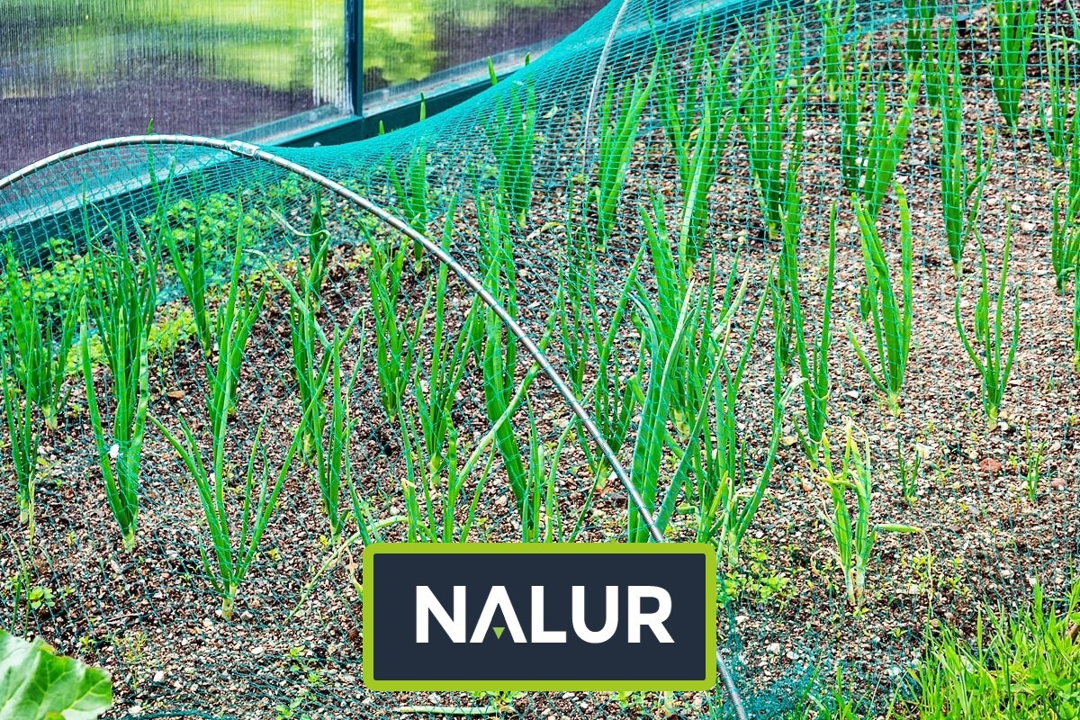   Nalur - Ochronna siatka sznurkowa dla upraw ogrodowych 