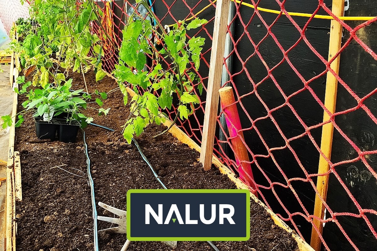   Nalur - Siatka sznurkowa do ochrony roślin w ogrodzie 
