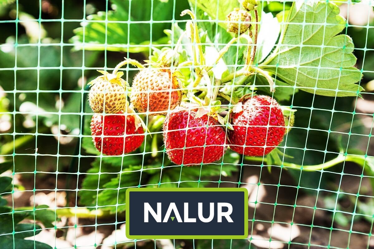   Nalur - Siatki i sznurki do ochrony Twoich roślin w ogrodzie 