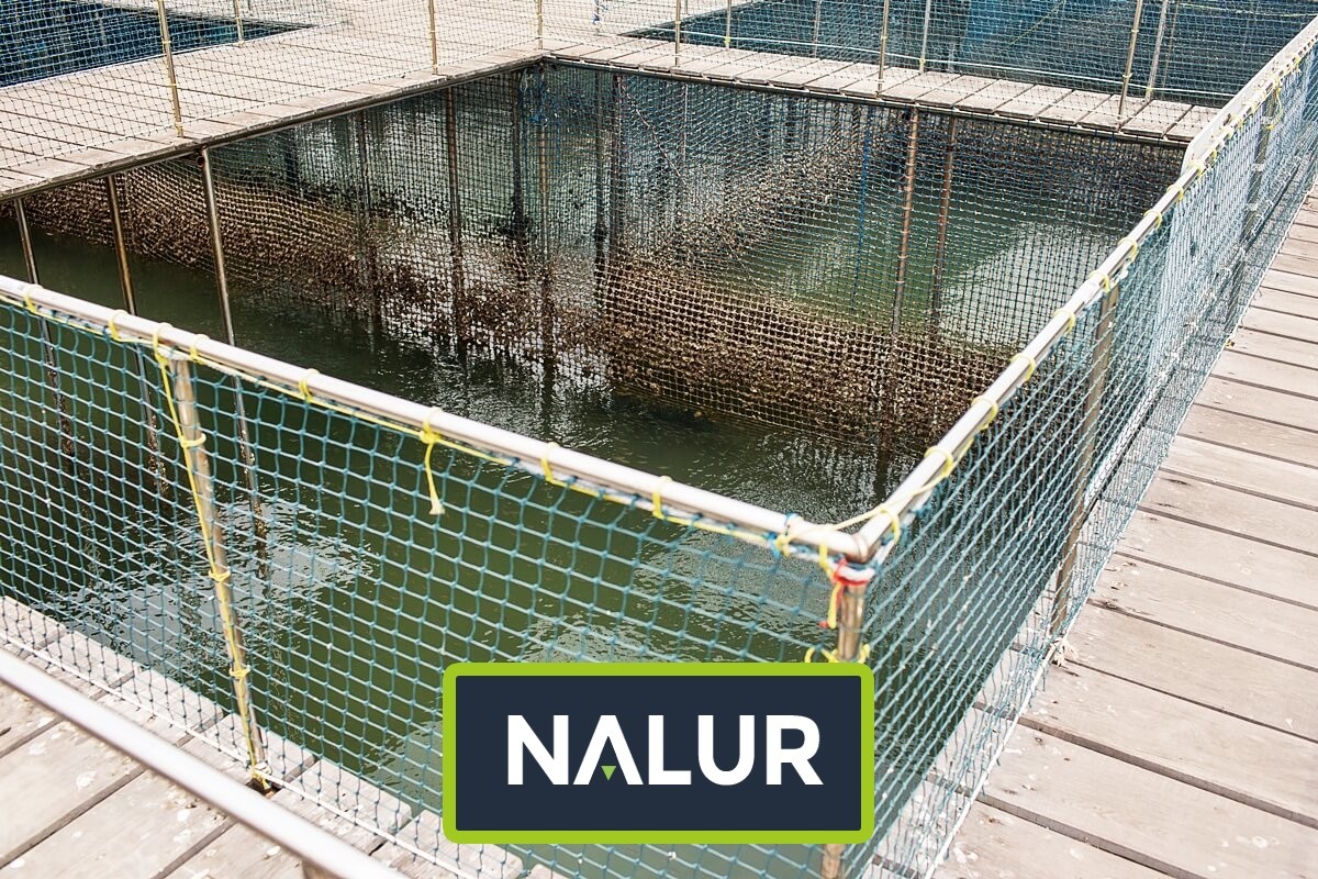 Siatka sznurkowa na ogrodzenie domowe Nalur - Siatka sznurkowa na ogrodzenie domowe