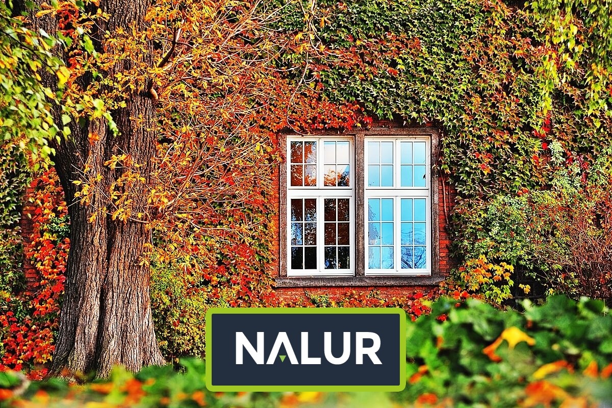   Nalur - Podwieszana siatka zadaszeniowa - stwórz własny, zielony azyl 