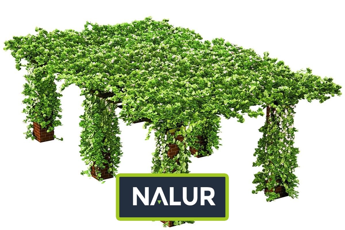   Nalur - Siatka podwieszana: Twoje personalne miejsce relaksu 