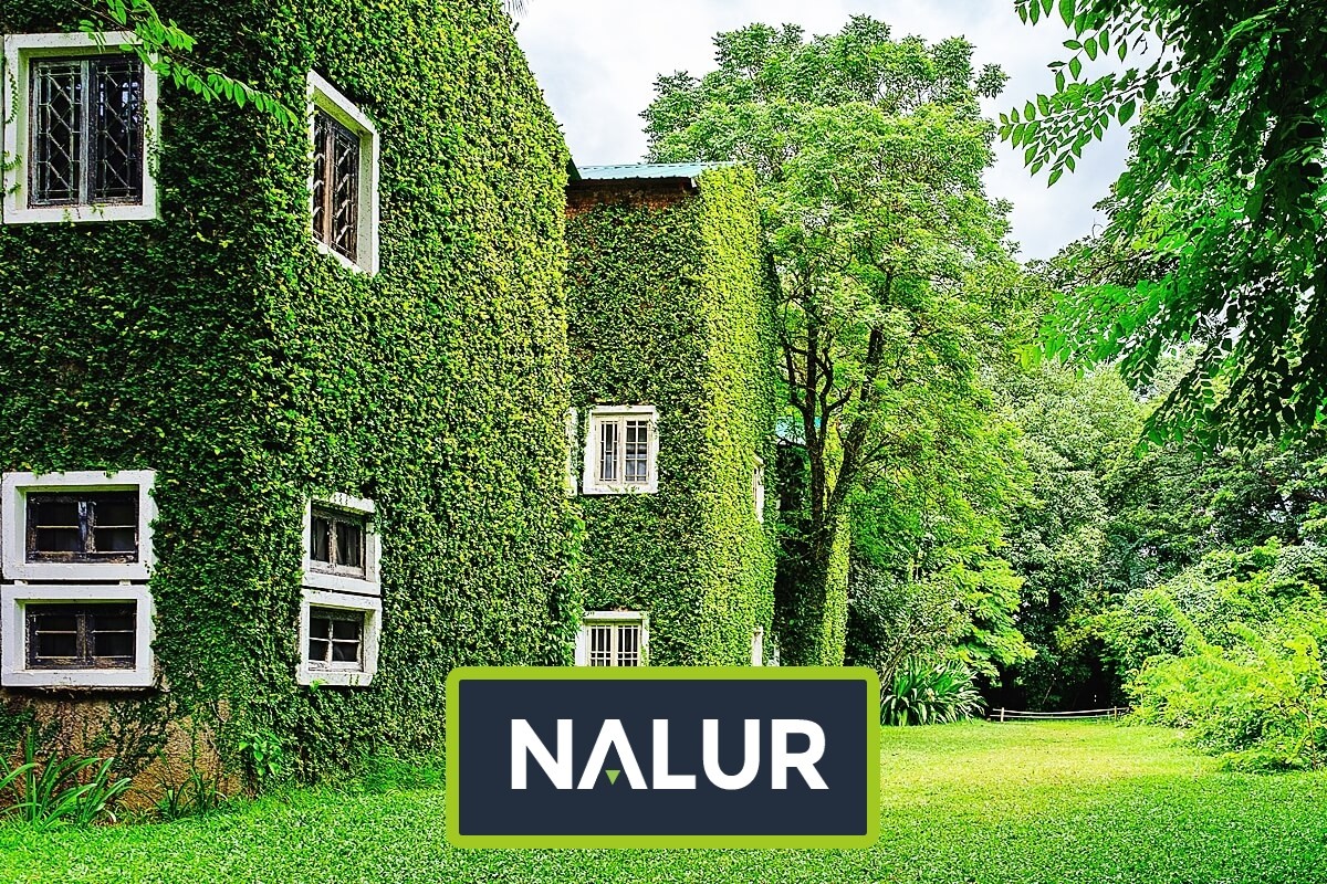  Nalur - Wsparcie dla roślin pnących - siatka sznurkowa 