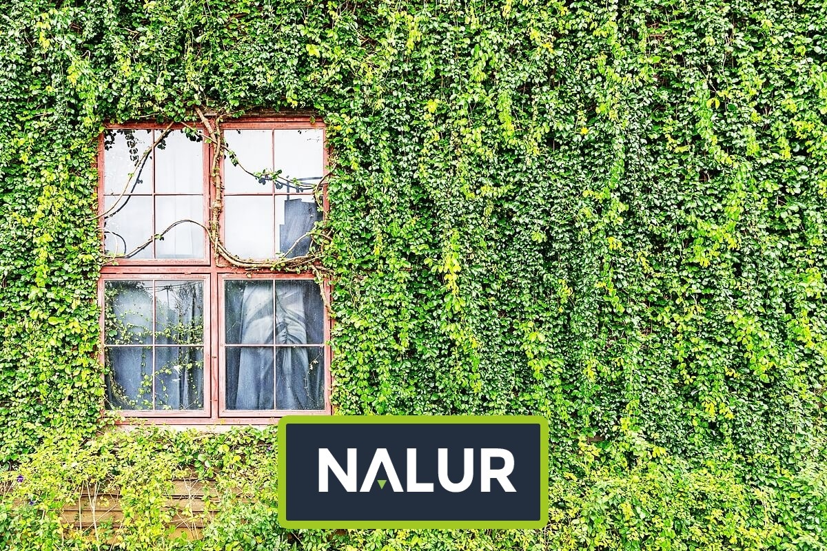   Nalur - Podwieszana siatka tworząca naturalny klimat w Twoim ogrodzie 