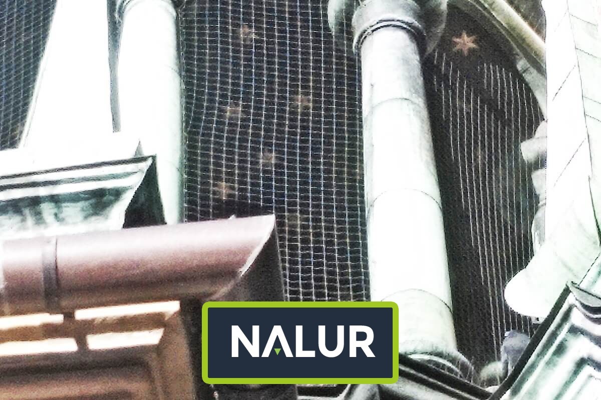   Nalur - Siatka zabezpieczająca przed ptakami 