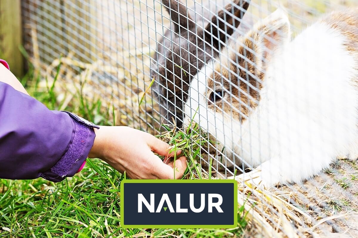Bezpieczna Ochrona dla Twoich Pupili Nalur - Bezpieczna Ochrona dla Twoich Pupili