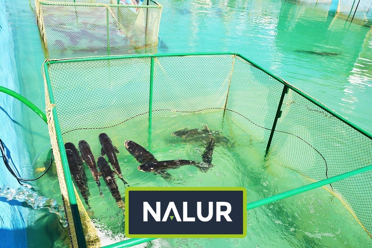   Nalur - Siatka o wymiarach 4,5x4,5 wykonana z 3mm polipropylenu 