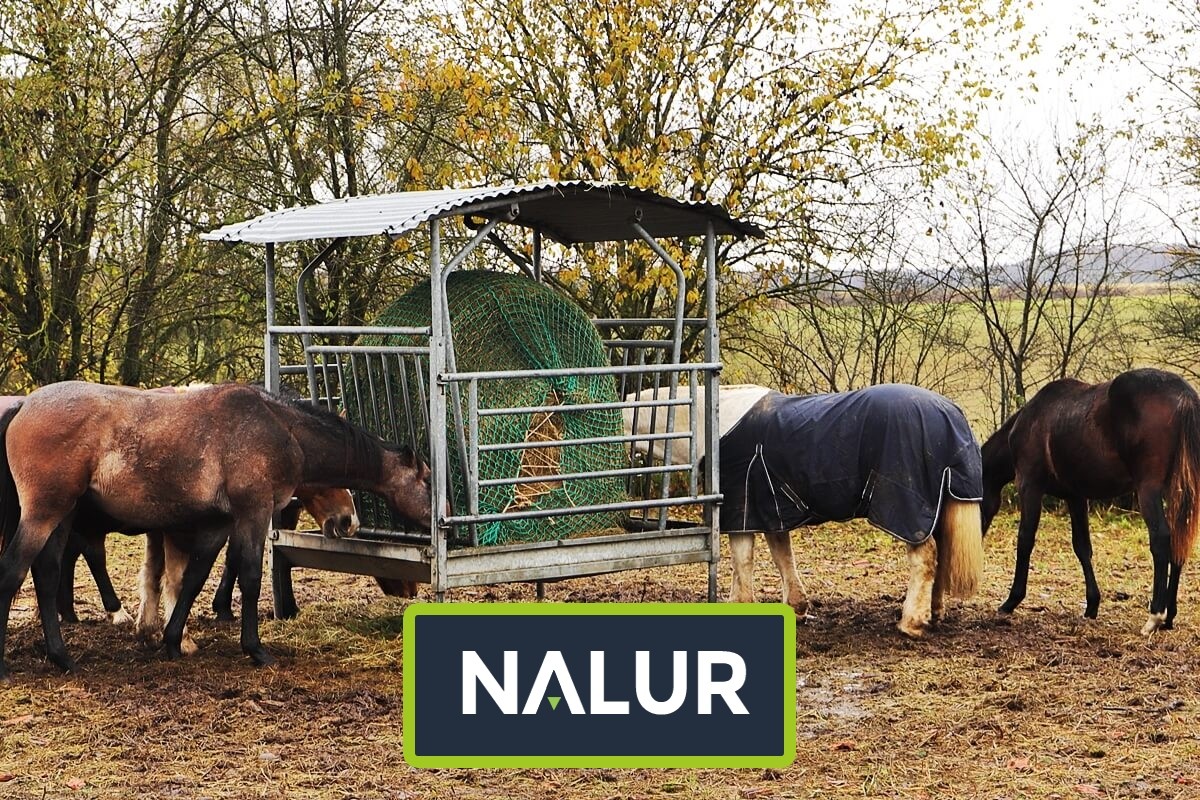   Nalur - Siatka do hodowli   Siatka do zabezpieczenia hodowli ptaków i zwierząt 
