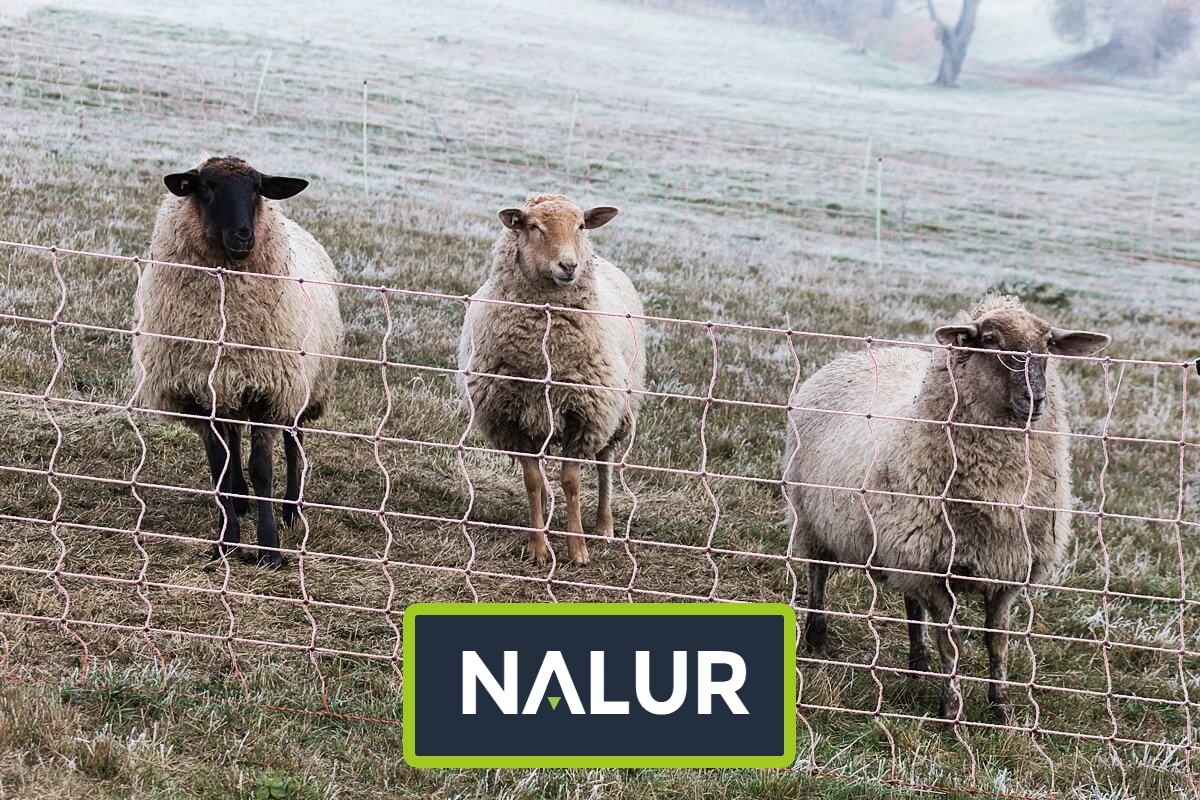   Nalur - Chroń swoje hodowle dzięki naszej wytrzymałej siatce dla ptaków i innych zwierząt 