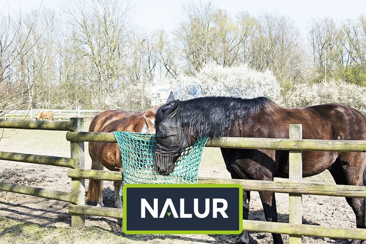  Nalur - Siatka do hodowli   Siatka do zabezpieczenia hodowli ptaków i zwierząt 