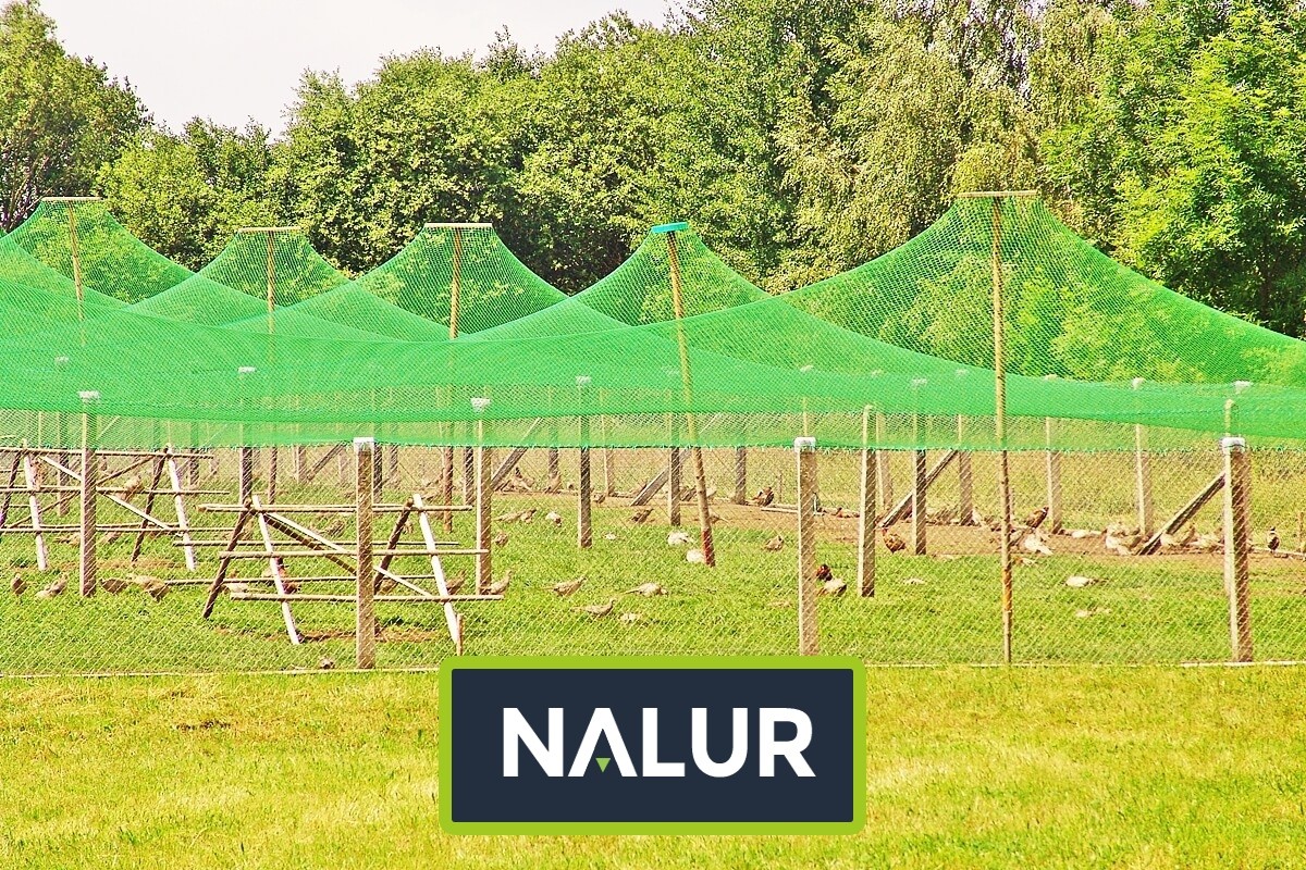   Nalur - Siatka do hodowli   Siatka do zabezpieczenia hodowli ptaków i zwierząt 