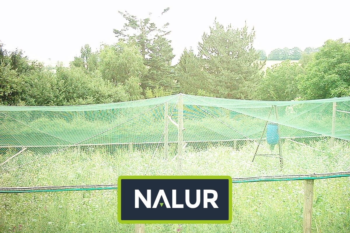  Nalur - Siatka ochronna przeciwko ptakom dla hodowlanych zwierząt 
