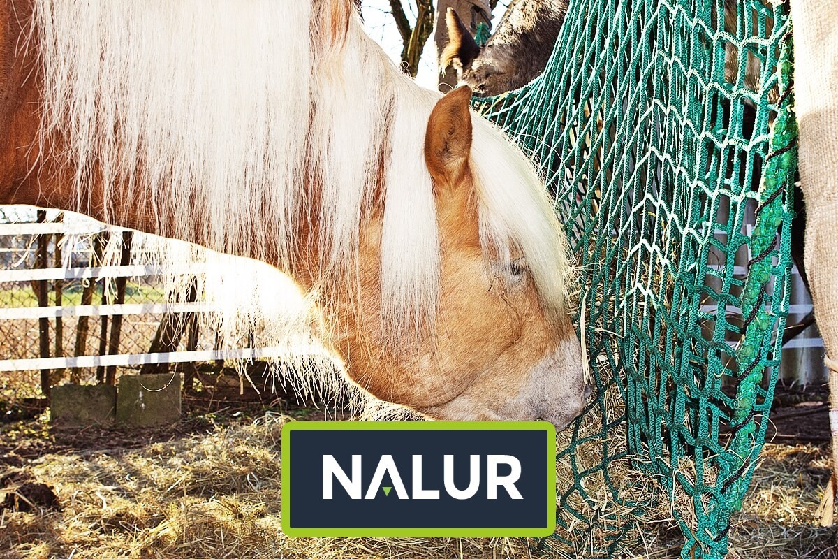   Nalur - Chron swoje uprawy z wykorzystaniem ochronnej siatki przeciwko ptakom i zwierzętom 