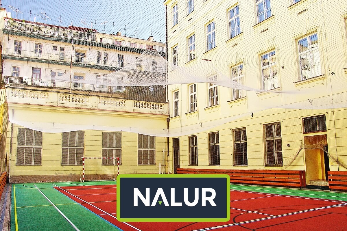 Piłkochwt na szkolne boisko Piłkochwyty na boiska w szkołach Nalur - Piłkochwt na szkolne boisko Piłkochwyty na boiska w szkołach