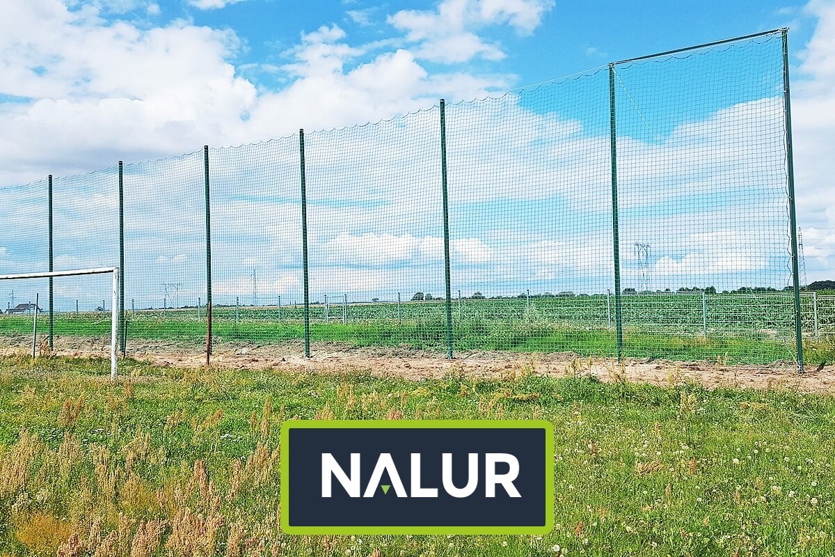   Nalur -  