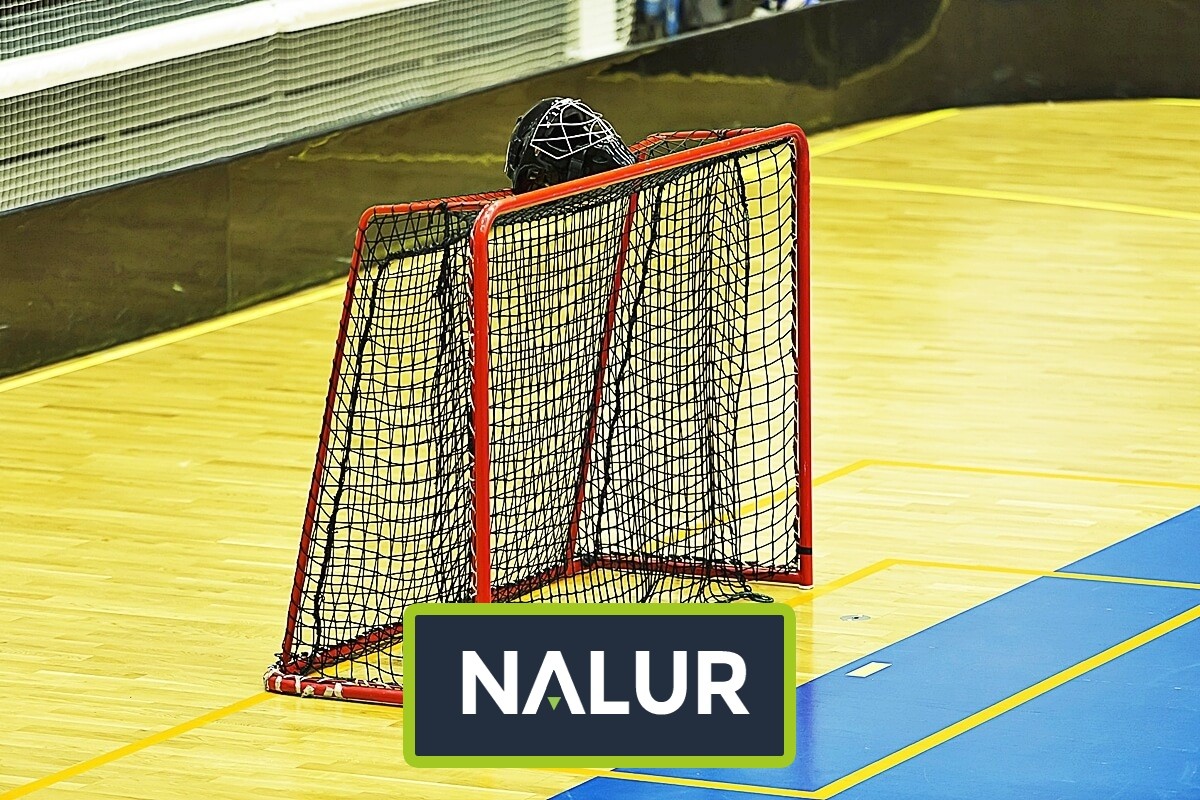   Nalur - Siatki na bramki   Siatka do bramek sportowych   Oczko siatki 10x10cm   Grubość siatki 6mm 