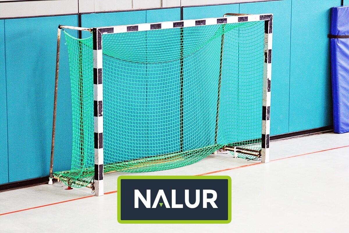 Nalur -