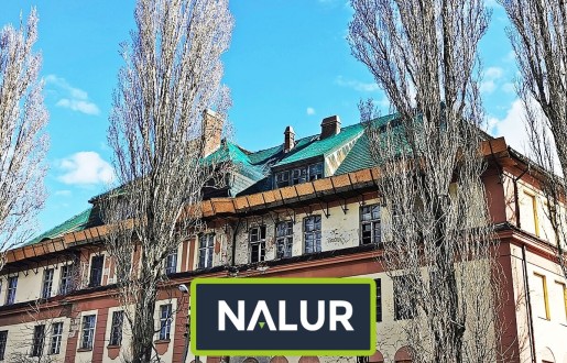   Nalur - Siatka ochronna do starych dachówek — skuteczne dociśnięcie i wyłapanie kruszącego się materiału 