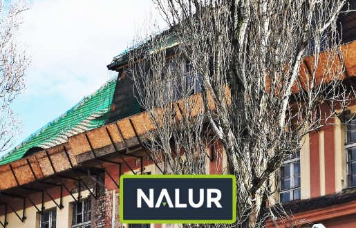 Nalur -