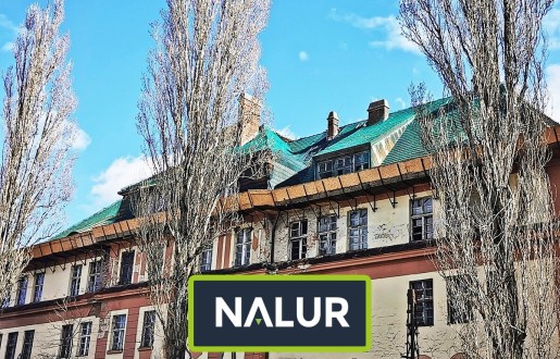 Siatka na dach Zabezpieczenie dachu siatką dekarską Nalur - Siatka na dach Zabezpieczenie dachu siatką dekarską