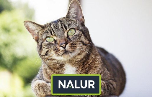 Nalur -