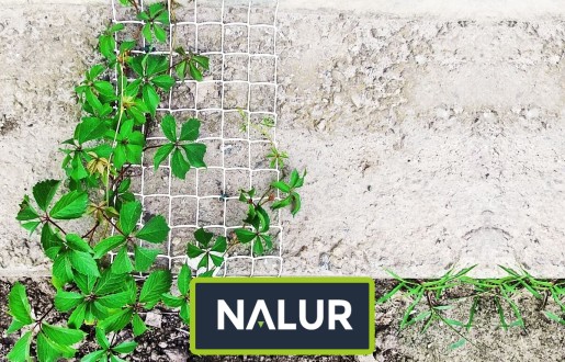   Nalur - Wygodna i ekonomiczna siatka ochronna na podwyższone grządki 
