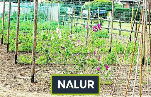   Nalur - Ochronna siatka na podniesione grządki roślin 
