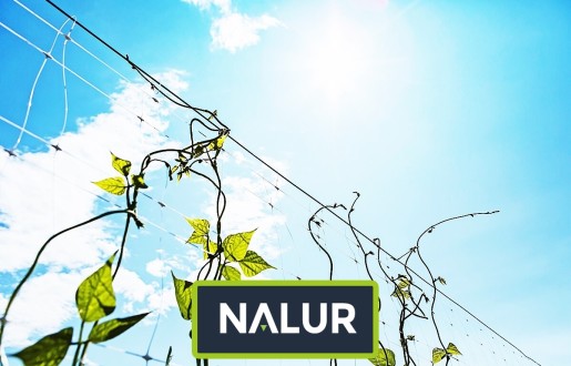   Nalur - Ochronna siatka na kwiatowe i warzywne rabaty 